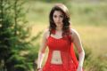 Oosaravelli Tamanna Hot Red Dress Wallpapers