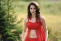 Actress Tamanna Hot Red Dress Wallpapers