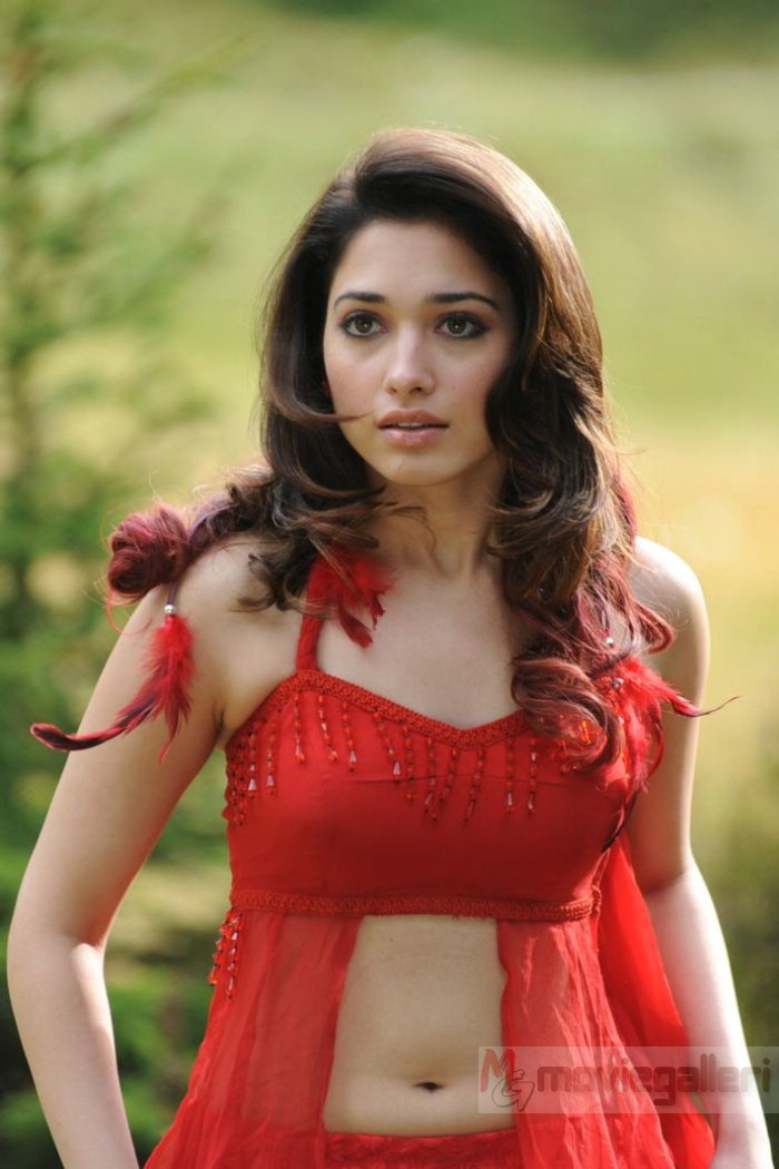 Tamanna Hot Spicy Photos | Tamanna Hot Images in Oosaravelli ...