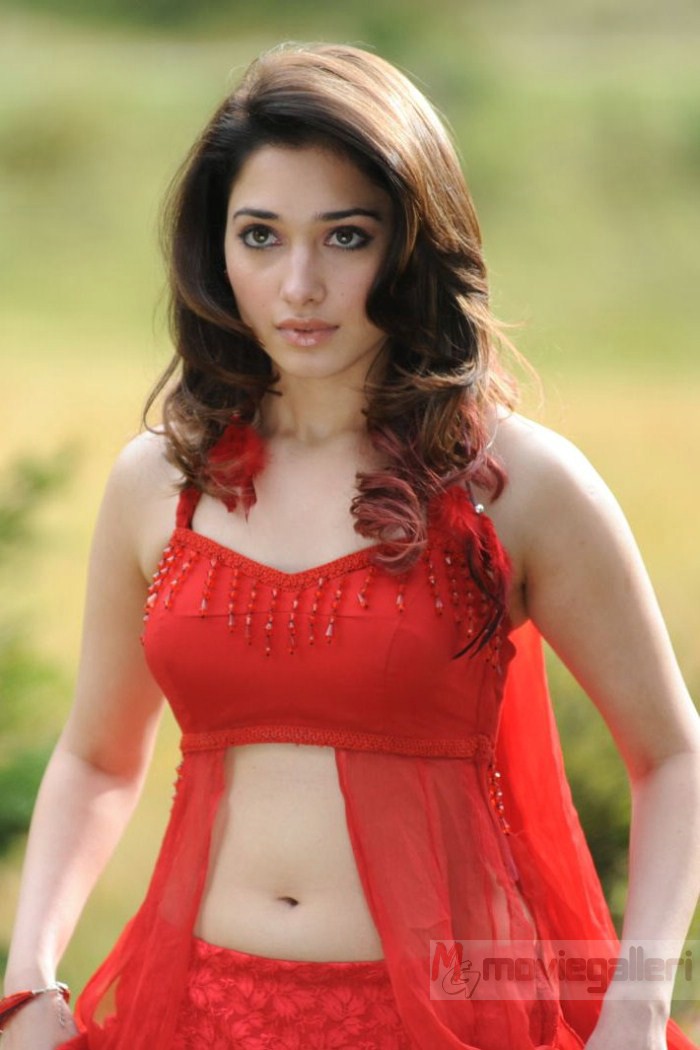 Tamanna Hot Spicy Photos | Tamanna Hot Images in Oosaravelli | New ...
