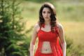 Oosaravelli Tamanna Bhatia in Red Dress Hot Stills