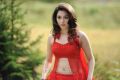 Oosaravelli Actress Tamanna in Red Dress Hot Pics