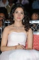 Actress Tamanna @ 100% Love Audio Launch Stills