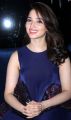 Telugu Actress Tamanna Photos in Blue Frock