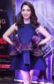 Telugu Actress Tamanna Cute Blue Frock Photos