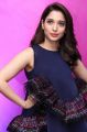 Telugu Actress Tamanna in Blue Frock Photos