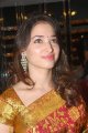 Tamanna in Silk Saree Stills