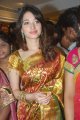 Tamanna in Silk Saree Stills