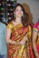 Tamanna in Silk Saree Stills