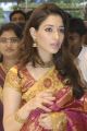 Actress Tamanna in Traditional Silk Saree Beautiful Photos