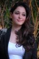 Beautiful Tamanna Cute Images in Womens Suit