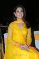 Milky Beauty Tamanna Cute Photos in Yellow Salwar Kameez