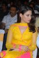 Actress Tamannaah Bhatia in Yellow Salwar Kameez Cute Photos