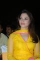 Actress Tamanna New Cute Images in Yellow Salwar Kameez