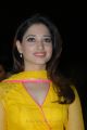 Actress Tamanna New Cute Photos in Yellow Salwar Kameez