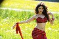 Tamanna Latest Hot Pics in Badrinath