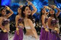 Tamanna Latest Hot Pics in Badrinath