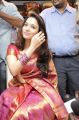 Beautiful Tamanna Gorgeous Silk Saree Photos