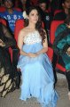 Tamanna Oosaravelli Audio Release