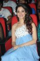 Tamanna Oosaravelli Audio Release