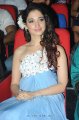 Tamanna Oosaravelli Audio Release