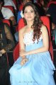 Tamanna Oosaravelli Audio Release