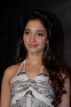 Tamanna New Photo Gallery