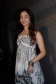 Tamanna New Photo Gallery