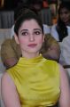 Actress Tamannaah Stills @ Okkadochadu Audio Release