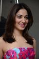 Actress Tamannaah Images @ Okkadochadu Movie Promotions