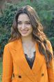 Actress Tamanna Pics in Dark Orange Suit Dress