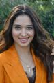 Actress Tamanna Pics @ Next Enti Movie Interview