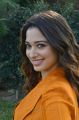 Actress Tamanna Pics in Dark Orange Suit @ Next Enti Movie Interview