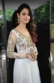 Actress Tamanna @ Rachcha Movie Launch