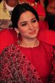 Actress Tamanna Cute Gallery @ Speedunnodu Audio Launch