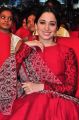 Actress Tamanna Cute Gallery @ Speedunnodu Music Launch