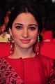 Actress Tamanna Cute Gallery @ Speedunnodu Music Launch