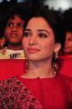 Tamanna New Cute Gallery @ Speedunnodu Music Launch