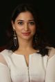 Actress Tamannaah Stills @ Abhinetri Movie Interview