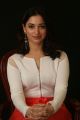 Actress Tamannaah Stills @ Abhinetri Movie Interview