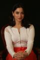 Actress Tamannaah Stills @ Abhinetri Movie Interview