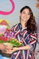 Actress Tamannaah Bhatia New Photos @ Queen Telugu Movie Launch