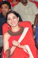 Actress Tamanna Bhatia Stills @ Oopiri Thanks Meet