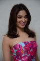 Tamil Actress Tamannaah Pink Frock Photos