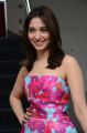 Tamil Actress Tamannaah in Pink Frock Photos