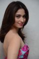 Tamil Actress Tamanna in Pink Frock Photos