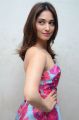 Tamil Actress Tamannaah in Pink Frock Photos