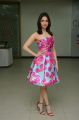 Tamil Actress Tamanna in Pink Frock Photos