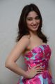 Tamil Actress Tamannaah in Pink Frock Photos