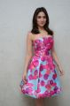 Tamil Actress Tamannaah Bhatia in Pink Frock Photos